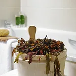فندق Sneem Hotel